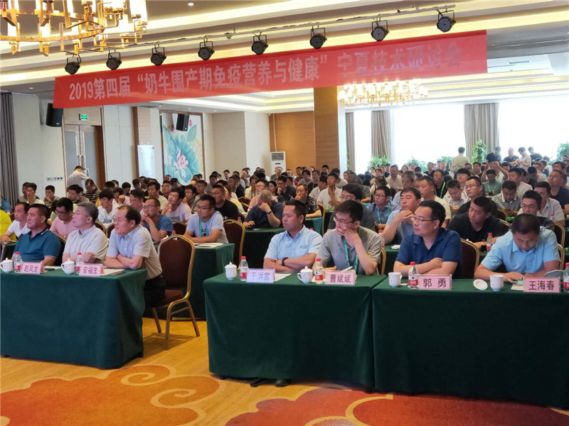 中牧成功承办第四届“奶牛围产期免疫营养与健康”宁夏规模牧场技术研讨会