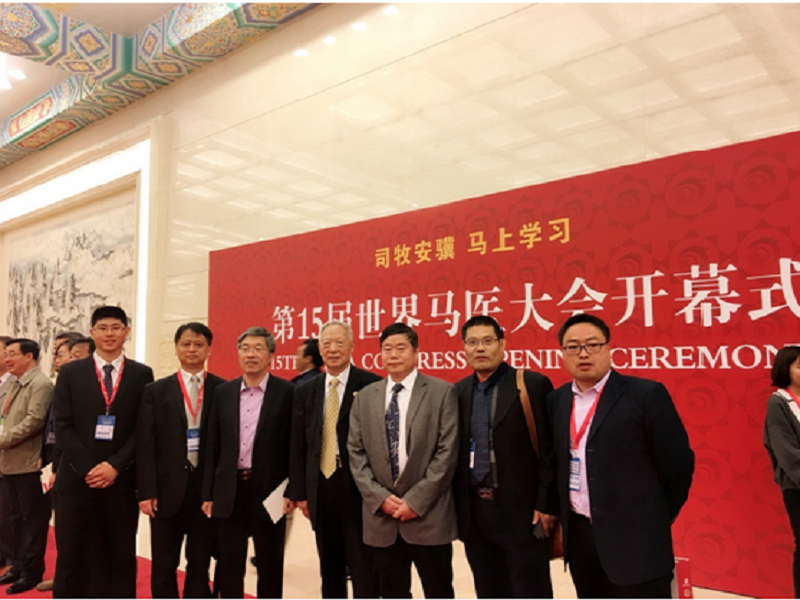 中牧集团参与协办的第十五届世界马医大会