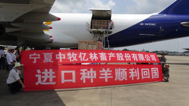 以创新驱动中牧公司畜牧种业战略跨越发展