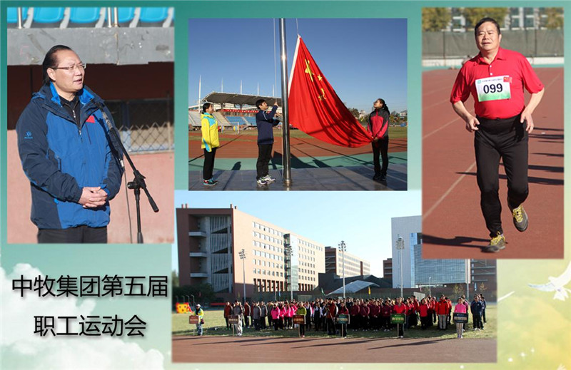 运动场上显身手  创业路上创佳绩