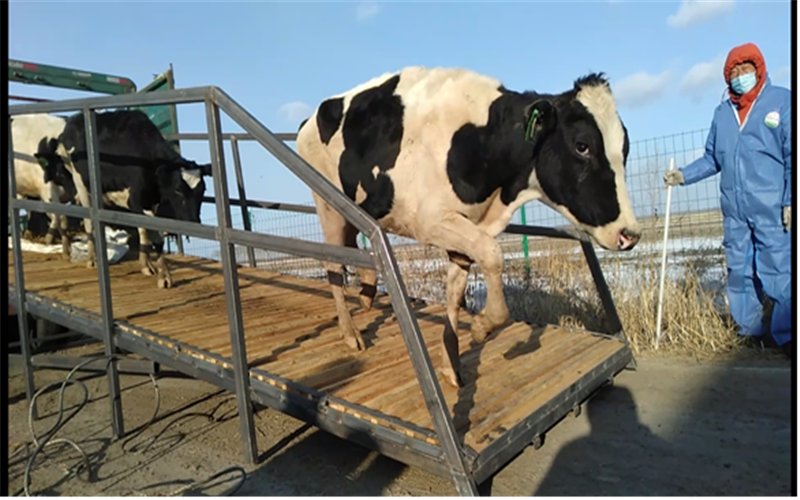 优贝合作牧场项目照片2.png 优贝合作牧场项目照片2.png