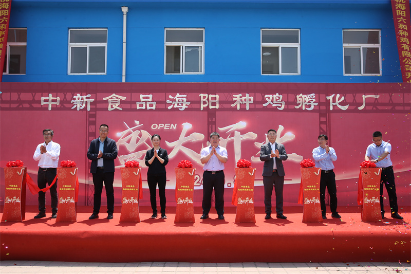 杨青春出席中新食品海阳种鸡公司改扩建项目竣工仪式