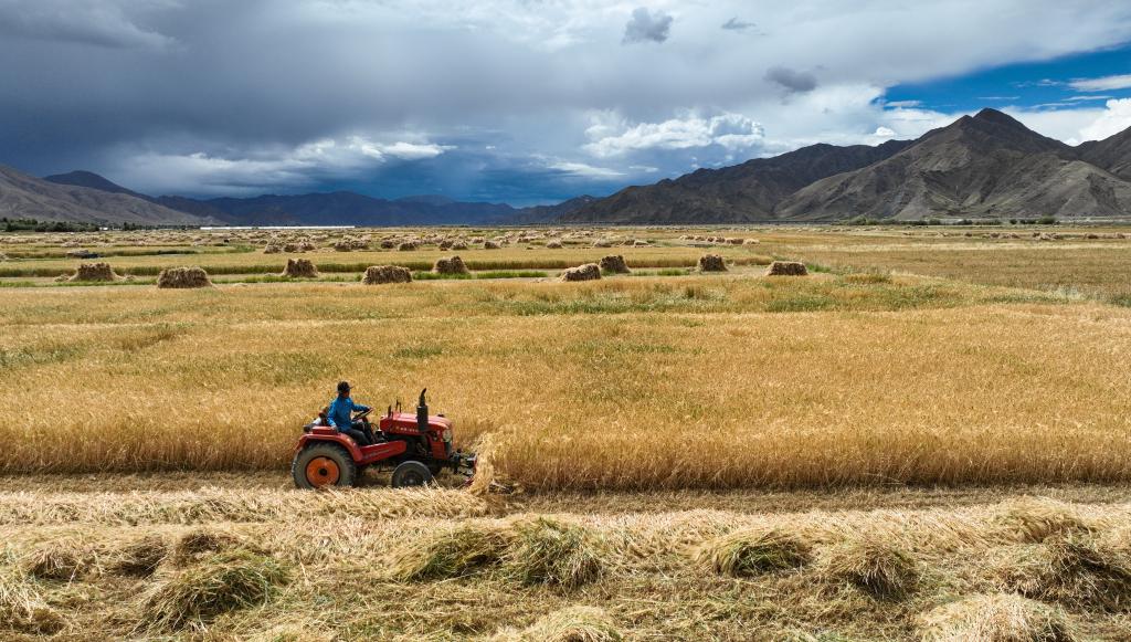 微信图片_20240919091418.jpg 微信图片_20240919091418.jpg