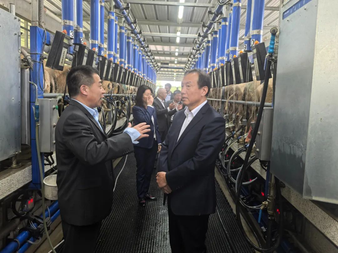 【转载】孔繁新一行赴新西兰考察调研乳业项目