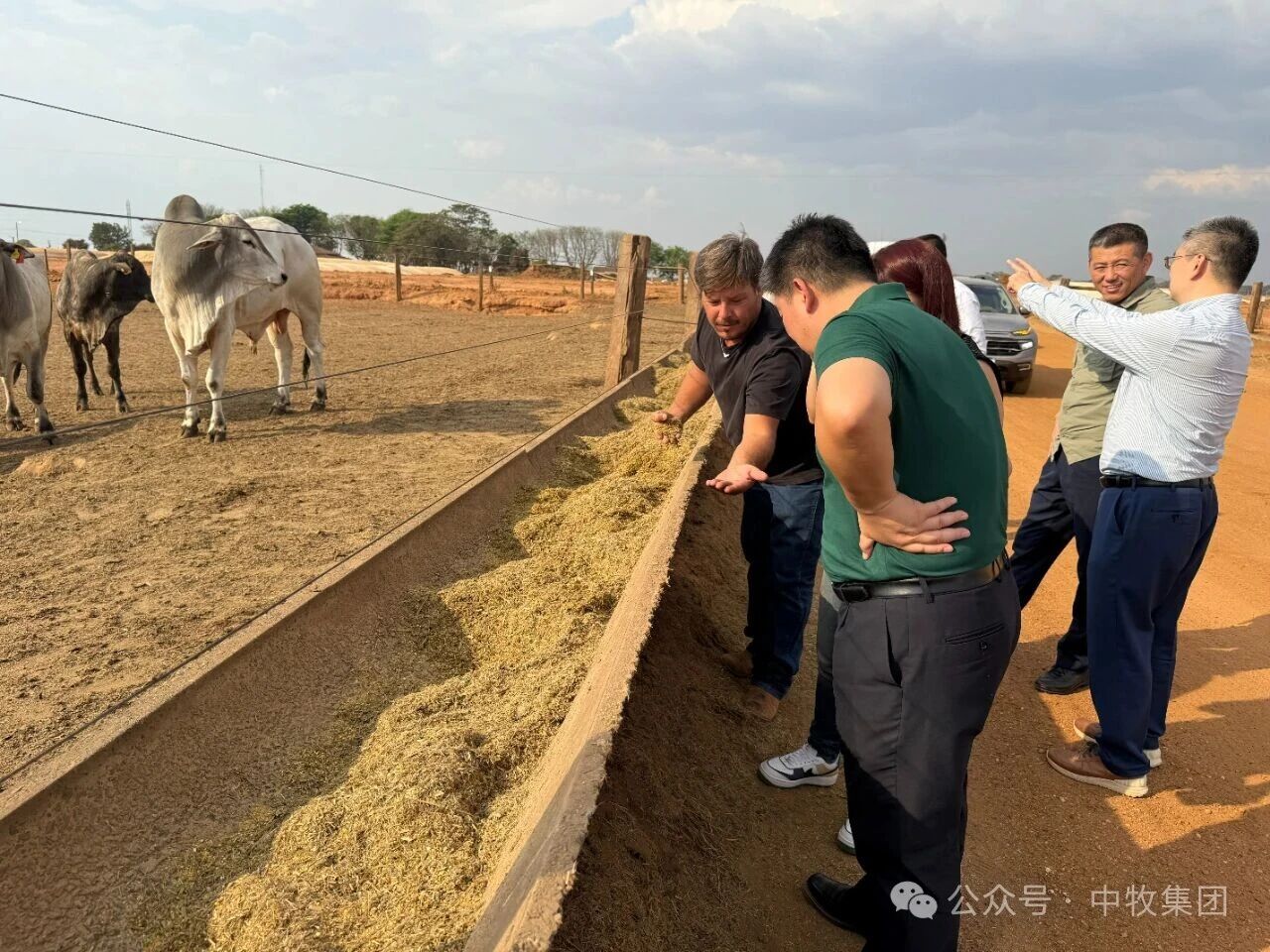 微信图片_2026-02-25_172944_386.jpg 微信图片_2026-02-25_172944_386.jpg