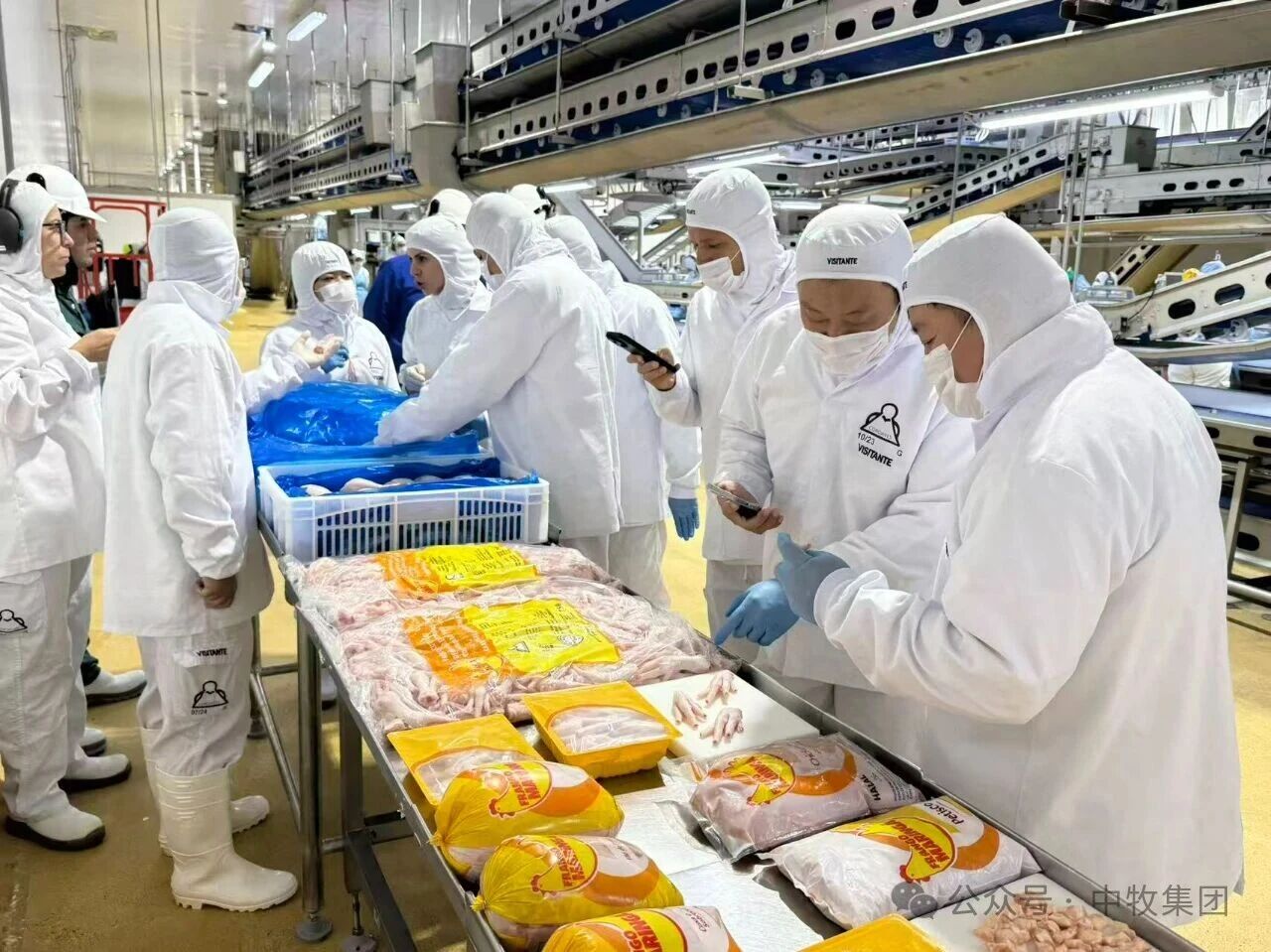 微信图片_2026-02-25_172949_529.jpg 微信图片_2026-02-25_172949_529.jpg