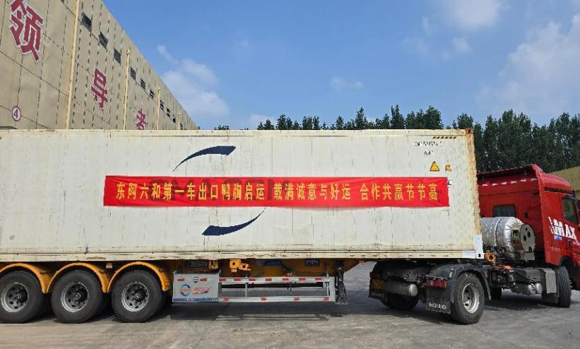 彰显农业合作新模范——中新鸭首次走出国门 助推中柬“鱼米走廊”建设