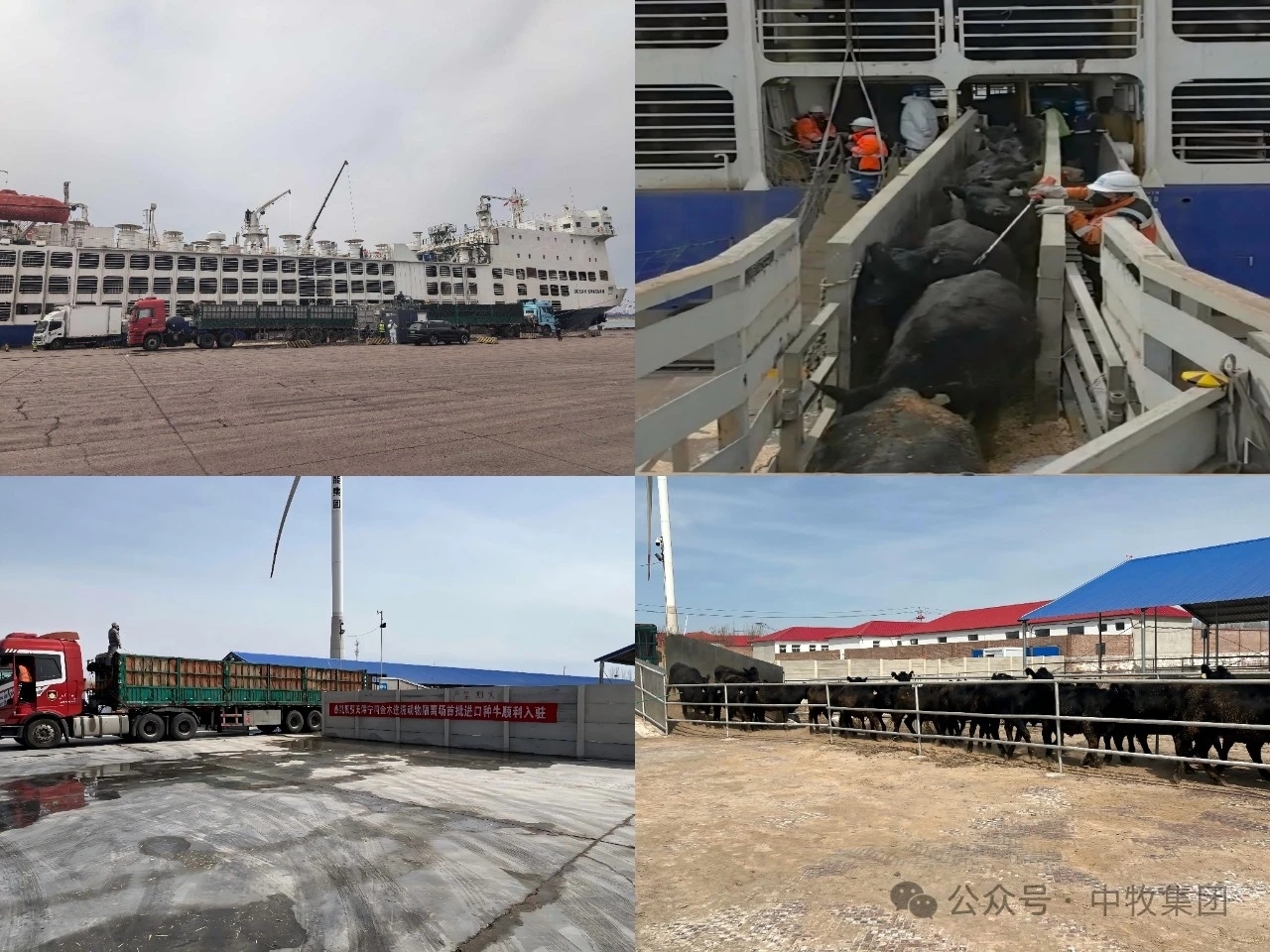 微信图片_20260304102824_695_60.jpg 微信图片_20260304102824_695_60.jpg