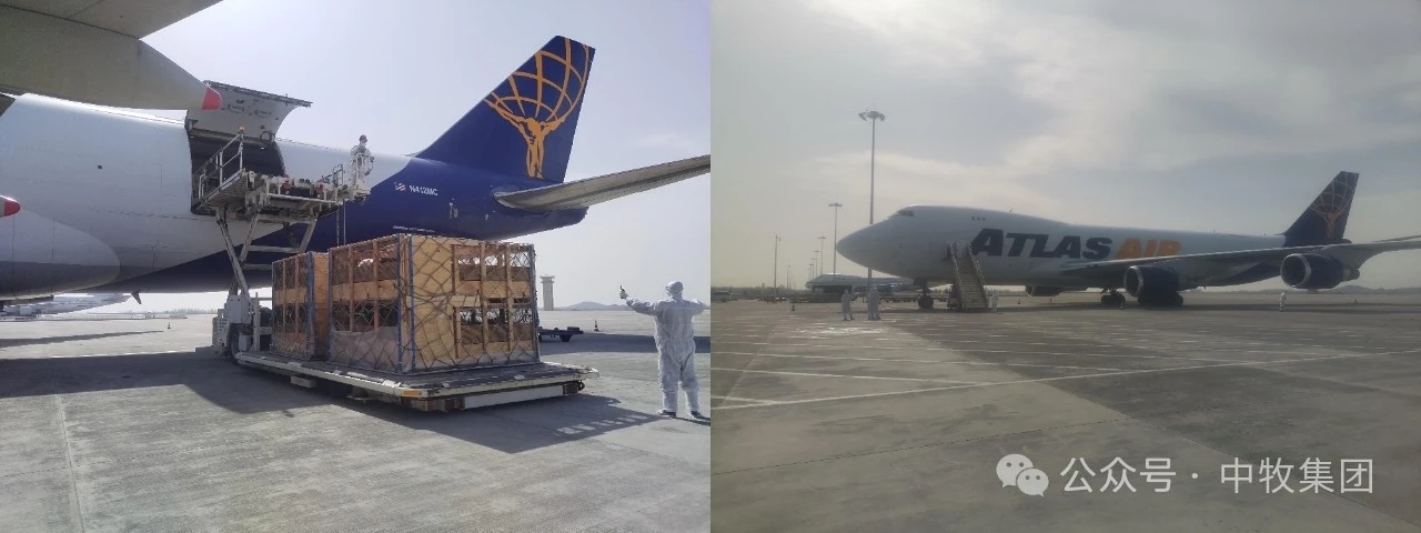 微信图片_20260304102828_696_60.jpg 微信图片_20260304102828_696_60.jpg