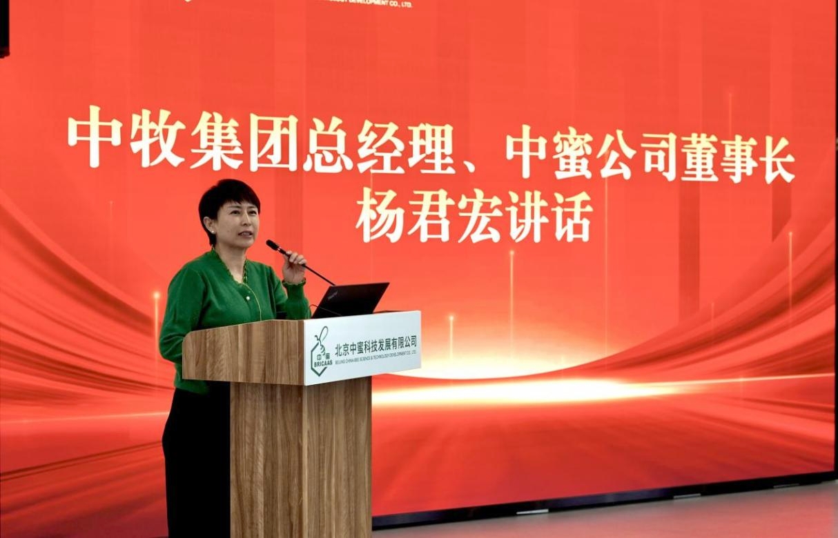 微信图片_20260304114625_727_60.jpg 微信图片_20260304114625_727_60.jpg