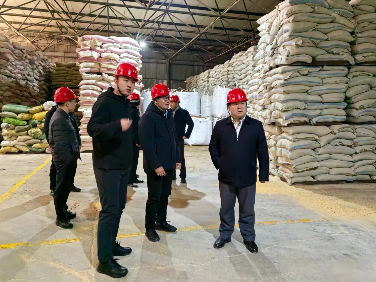 中牧集团董事长杨青春到中新食品汾洛一体化调研指导工作